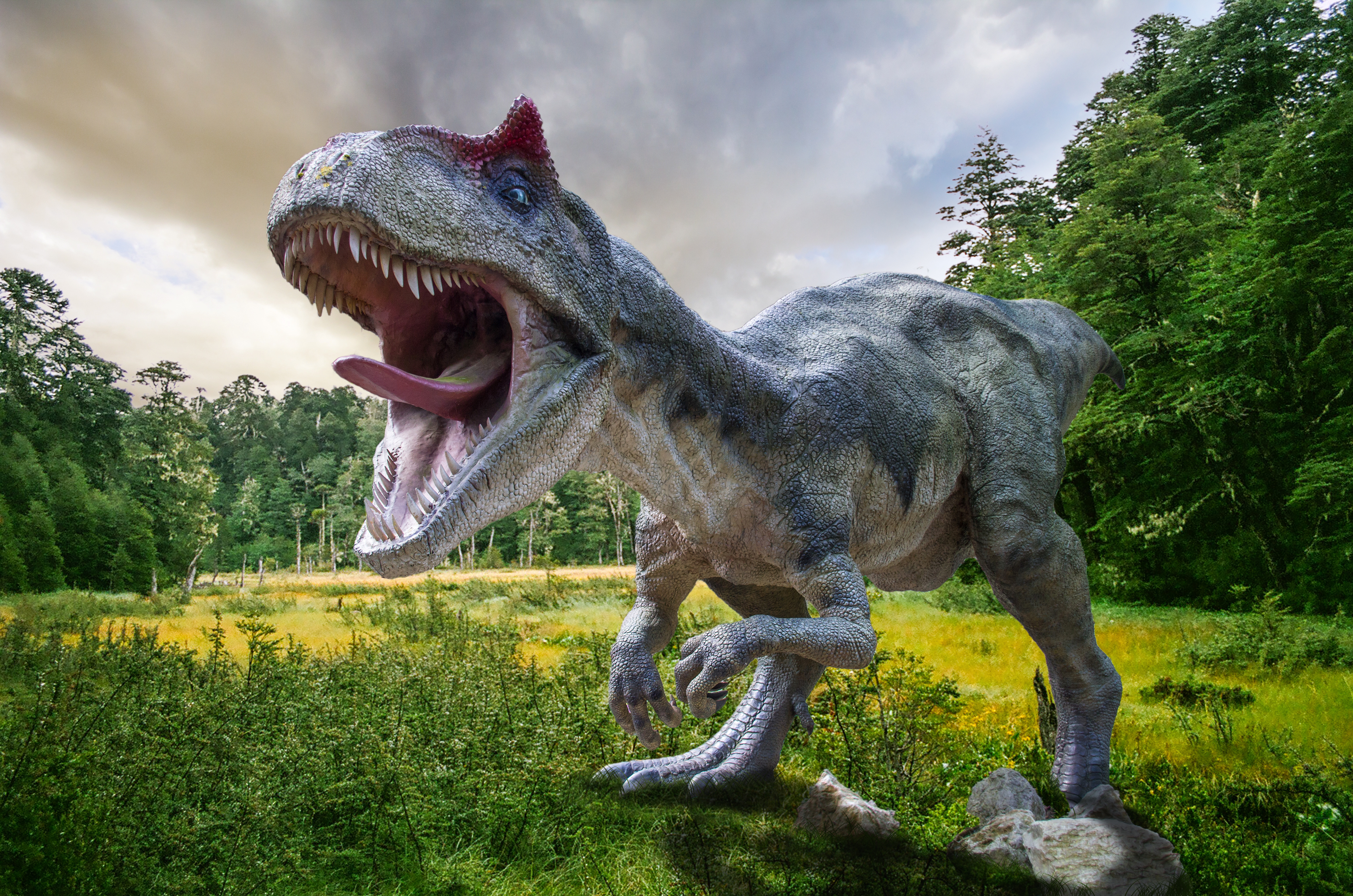 new-gorgosaurus-dinosaur-unveiled-at-thanksgiving-point