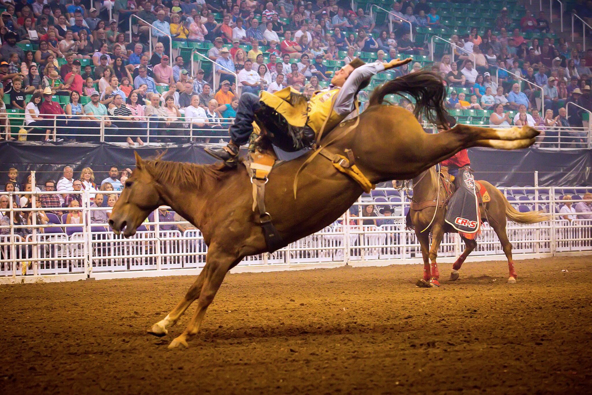 Utah State Fair Rodeo 2024 Dawna Erminia