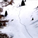 Chopper 5 shows footprints leading out of area where Hales spent four days lost near the Strawberry River drainage area of Wasatch County.