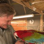 Richard Nowak smiles while holding a parrot at ASAP Utah in West Valley City. April 3, 2018. Photo: Ray Boone