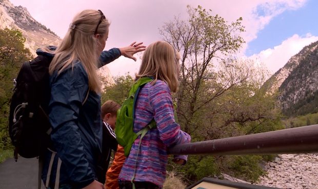 FILE: Kathy Dalton takes time to teach her kids about nature while they explore the outdoors. (Sour...