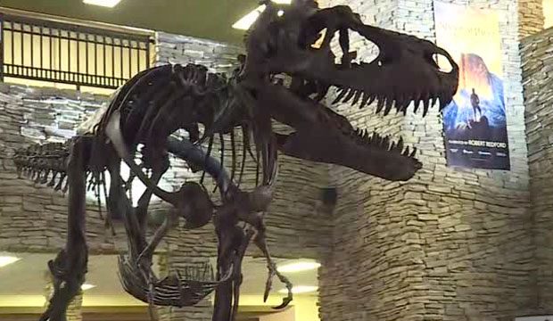Ruby the Gorgosaurus, on display at Thanksgiving Point in Lehi, Utah....