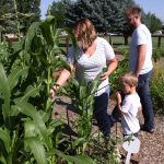 Michelle and Jason Conover work in Intermountain Healthcare's LiVe Well Garden in Orem each year.