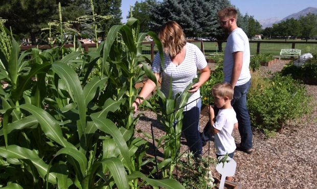 Michelle and Jason Conover work in Intermountain Healthcare's LiVe Well Garden in Orem each year....
