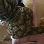 Emily Blodgett pours a drink into a pineapple, part of her "Christmas in Hawaii" theme. (December 12, 2018)