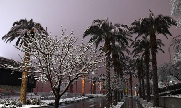 LAS VEGAS, NEVADA - FEBRUARY 21:  Snow covers trees during a winter storm on February 21, 2019 in L...