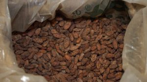  Ritual Chocolate's cacao beans are sourced from Madagascar, Mexico, Belize, Ecuador, and Peru.