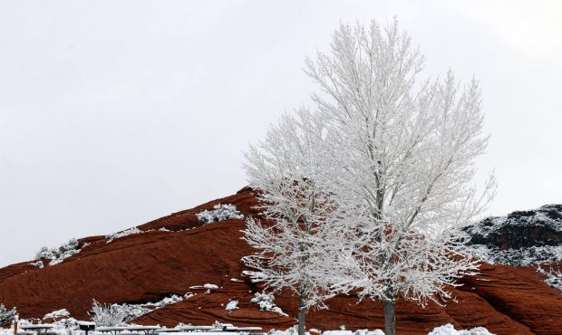 Snow Canyon State Park in Feb. 2019
Photo: KSL Weather...