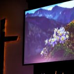 LITTLETON, COLORADO - APRIL 18: A projected image of Columbine flowers next to a cross at a remembrance service on April 18, 2019 in Littleton, Colorado. Ireland was seriously wounded in the 1999 Columbine High School shooting. The service marks the 20th anniverssary of the 1999 massacre at Columbine High School where 12 students and a teacher were killed. (Photo by Rick Wilking-Pool/Getty Images)