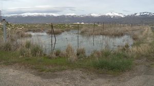 An area in West SLC with standing water