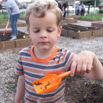 Four-year-old Yannik Foerster is on a hunt to find worms in their family garden plot.
