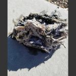 "FatBerg" pictures shared by West Haven City