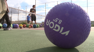: Dodgeball is a classic sport that brings you back to the school yard.