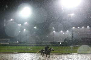  A horse trains on the track during morning workouts in preparation for the 145th running of the Kentucky Derby at Churchill Downs on May 3, 2019 in Louisville, Kentucky. (Photo by Michael Reaves/Getty Images)