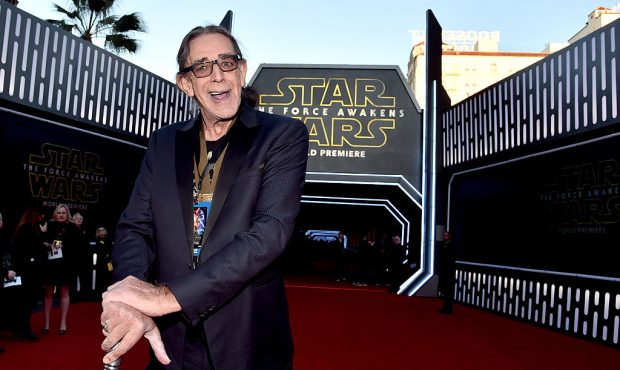 HOLLYWOOD, CA - DECEMBER 14: Actor Peter Mayhew attends the World Premiere of ?Star Wars: The Force...