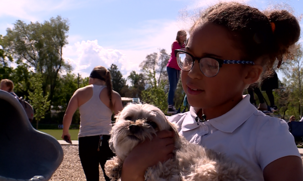 Nine-year-old Kloe loves dogs, but sadly she is allergic to them....