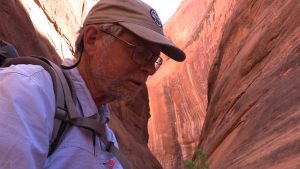 Stevens collects mayflys in a slot canyon