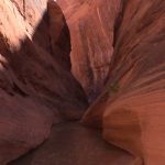 slot canyon in fiftymile canyon