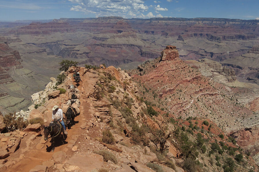 GRAND CANYON NATIONAL PARK, AR - JULY 13: A mule train ascends the South Keibab Trail at the Grand ...