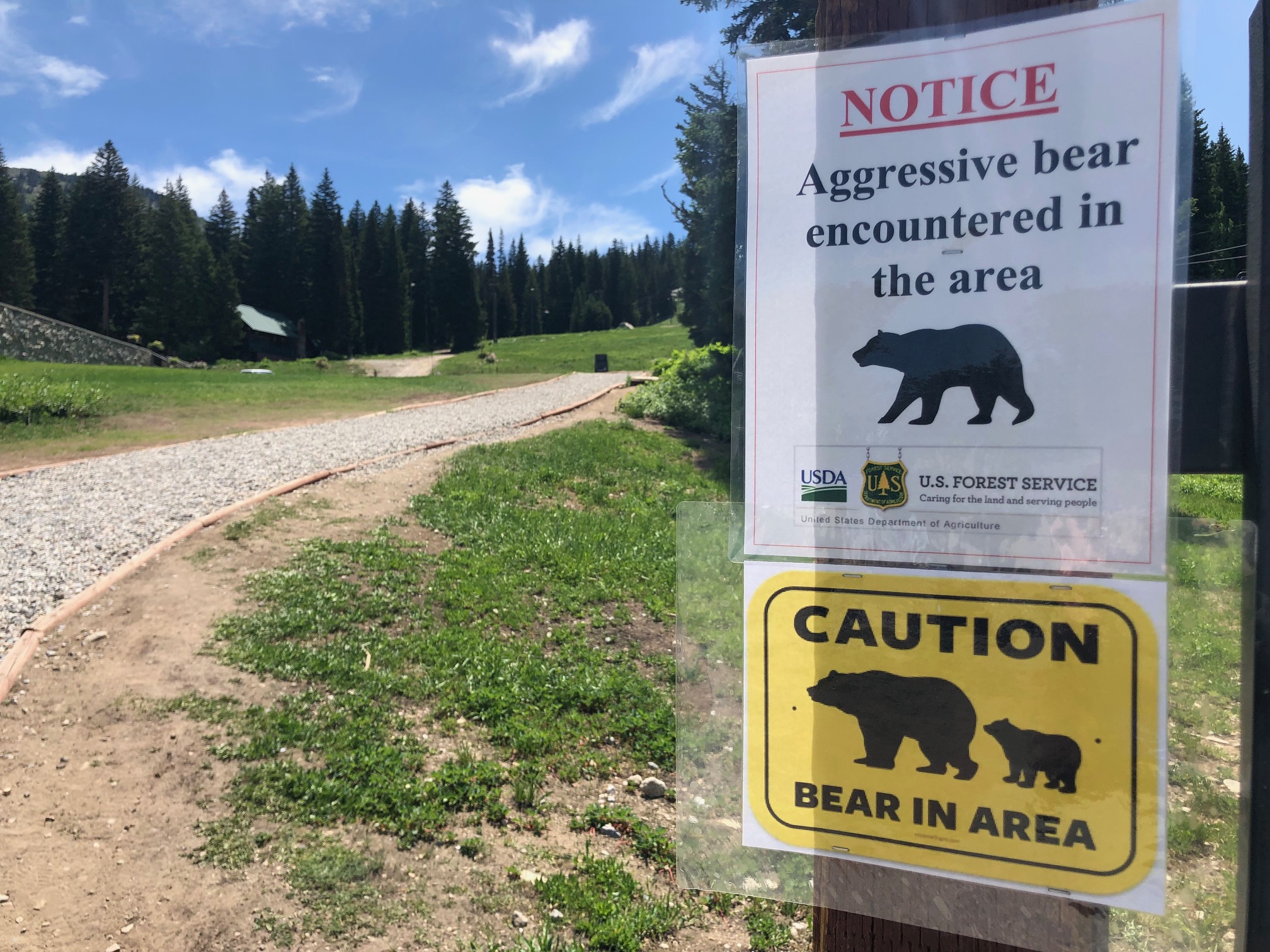 Bear Encounters In Utah On The Rise Udwr Says 7863