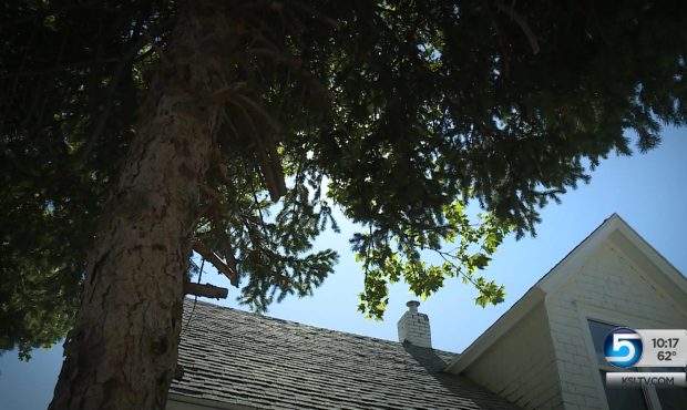 A Building Problem: Home Inspectors Aren’t Licensed in Utah