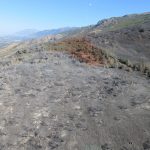 The Francis Fire burn scar can be seen on the mountain above Fruit Heights in Davis County on Sept. 18, 2019 (Photo: US Forest Service)