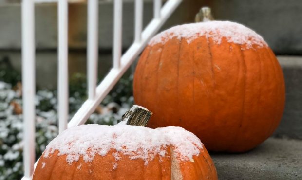 Snow accumulates on a pumpkins on Oct. 27, 2019. (Photo: Derek Petersen)...