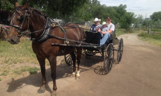 Gavin Bullock and his grandfather ride in an Amish buggy in Vernal, Utah. Bullock served a mission ...