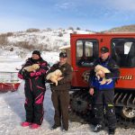Weber County Sheriff's Office Search and Rescue helped save a litter of puppies near the Monte Cristo Trailhead on Dec. 1, 2019. (Photo: Weber County Sheriff's Office Search and Rescue)