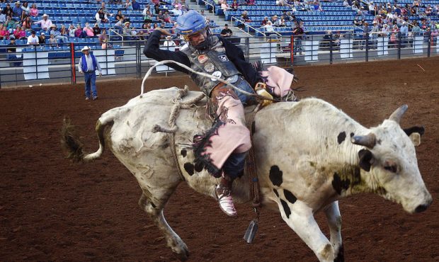 Stetson Wright from Milford completes eight seconds in bull riding at the UHSRA high school rodeo s...