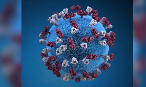 The highly contagious measles virus was previously thought to be eradicated from the US but it's st...