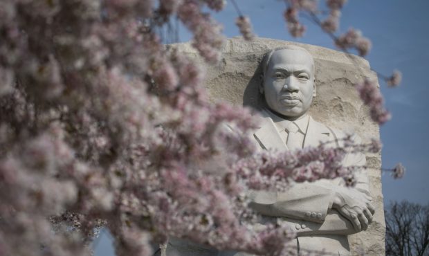The Martin Luther King, Jr. Memorial is framed as cherry trees are in full bloom, on April 4, 2019 ...