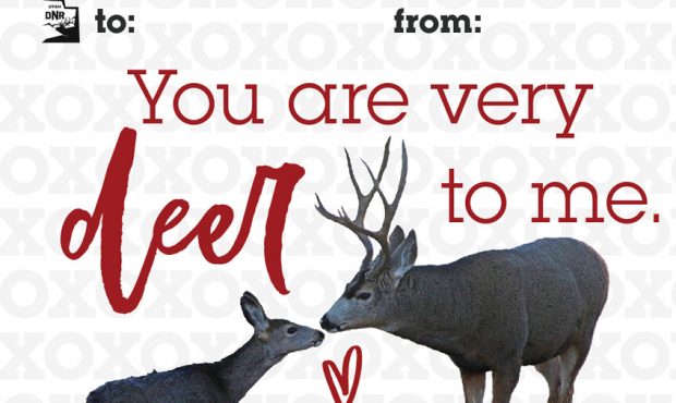 The Utah Division of Wildlife Resources released Valentine's Day cards with pun-themed messages on ...
