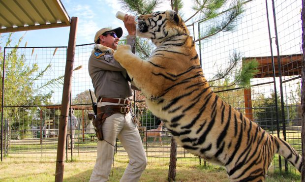 Joe Exotic in 'Tiger King' (Courtesy: NETFLIX)...