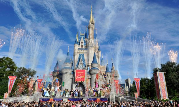 LAKE BUENA VISTA, FL - DECEMBER 06:  In this handout image provided by Disney Parks, fireworks ligh...