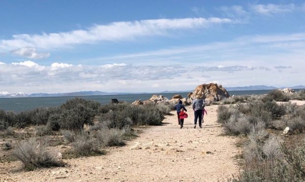Antelope Island State Park reported higher numbers of visitors as Utahns looked for something to do...