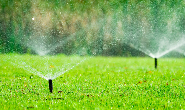 Automatic lawn sprinkler watering green grass. Sprinkler with automatic system. Garden irrigation s...