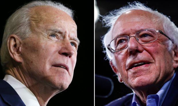 Vermont Sen. Bernie Sanders officially endorsed former Vice President Joe Biden for president. (Get...