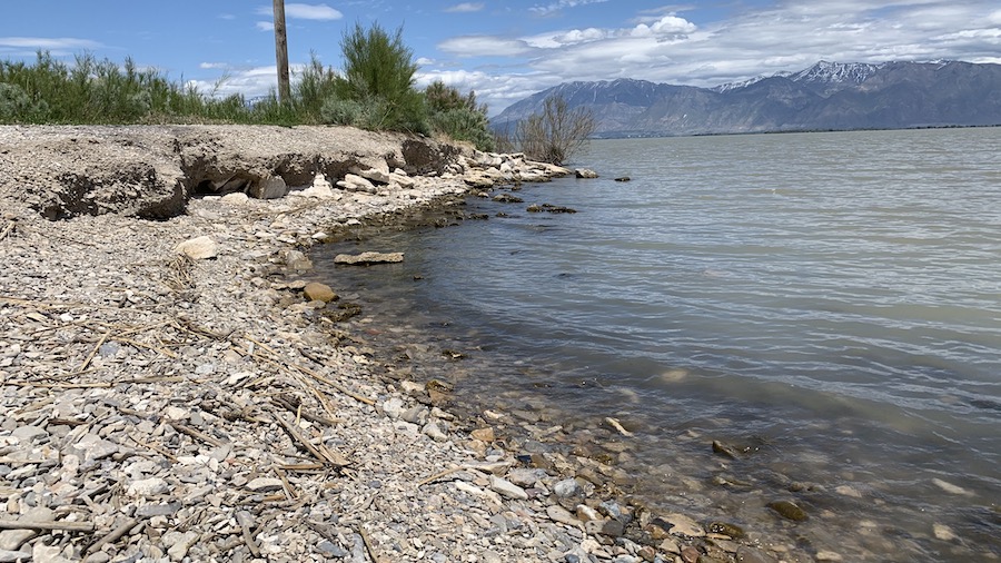 Delta restoration project to improve Utah Lake water quality