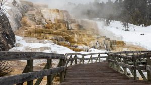 a wooden walkway over hot water mineral deposits