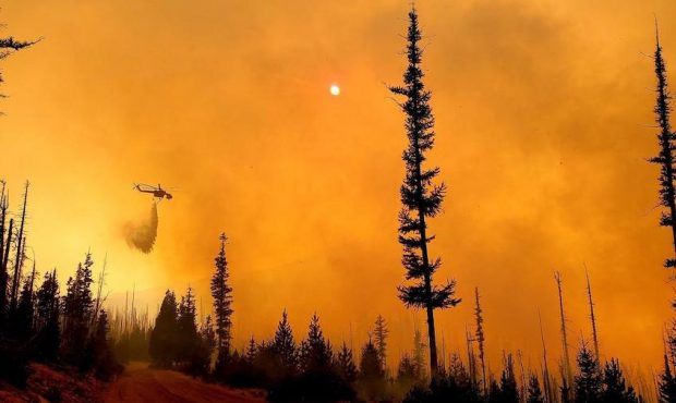 Over 10% of Oregon's population has been forced to evacuate due to fires burning across the state. ...