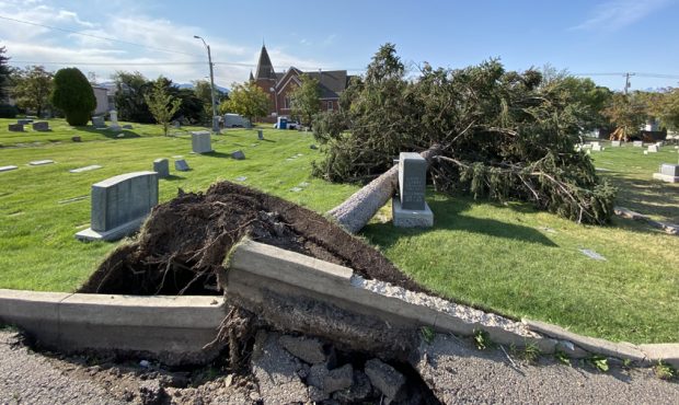 September's severe winds uprooted and damaged dozens of trees. Several graves were also damaged. (K...