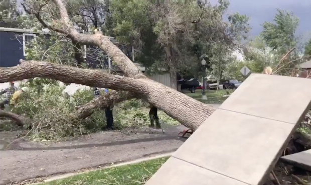 Trees block the road in Sugar House after heavy winds hit the area Tuesday. (Dan Rascon/KSL TV)...