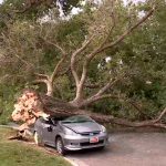Insurance agents across northern Utah have their hands full over the next few weeks, sorting out damage claims from the massive windstorm that blew in Monday night.