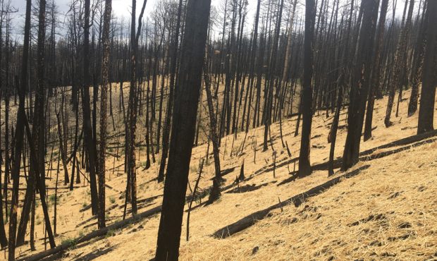 Straw bombed Brianhead fire in 2018. (Courtesy Utah Department of Natural Resources.)...
