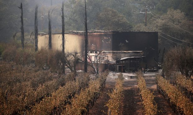 CALISTOGA, CALIFORNIA - SEPTEMBER 30: Rows of fire damaged grapevines lead to a damaged building at...