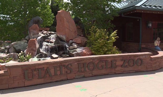 Private buildings like the Hogle Zoo are being used as polling locations this year. (KSL-TV)...