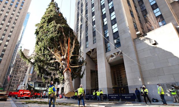 NEW YORK, NEW YORK - NOVEMBER 14: The Rockefeller Center Christmas Tree arrives at Rockefeller Plaz...