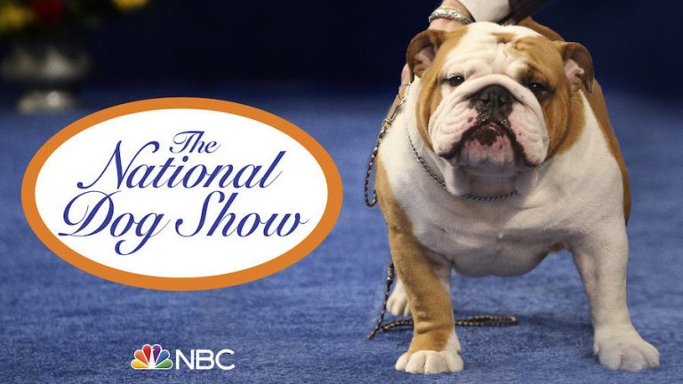 The National Dog Show' Today On NBC