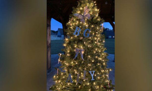 Morgan Cheek, mother of twins Ally and Bailey Grace, said the early Christmas lights have been a so...